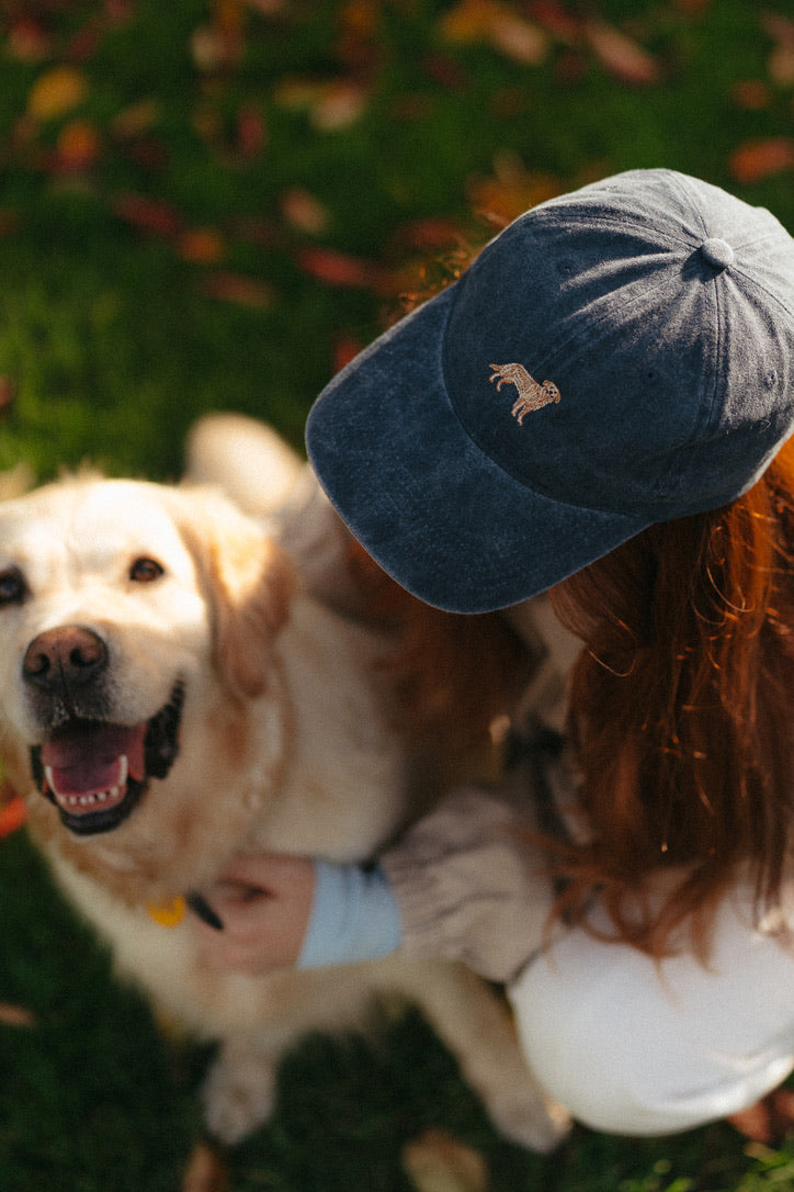 /products/dog-collection-hat